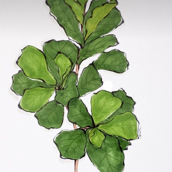 fiddleleafstore